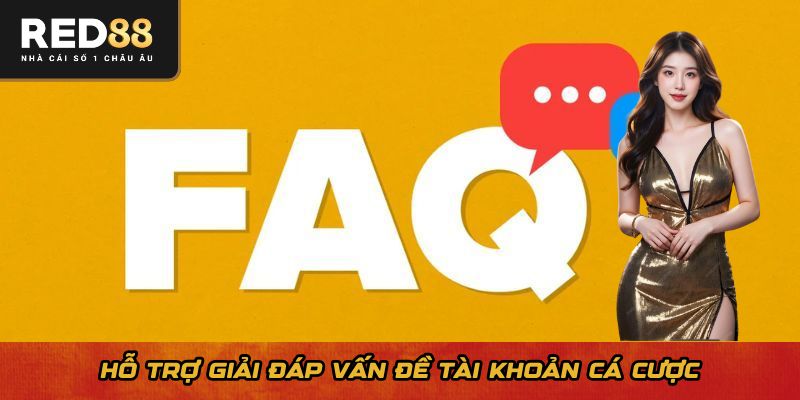 Hỗ trợ giải đáp vấn đề tài khoản cá cược